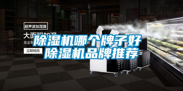 91抖音免费看片哪个牌子好 91抖音免费看片品牌推荐