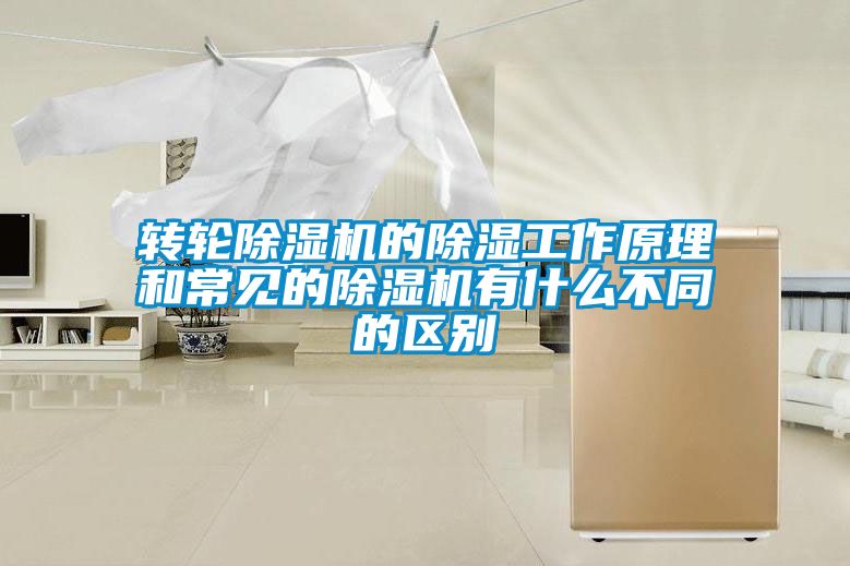 转轮91抖音免费看片的除湿工作原理和常见的91抖音免费看片有什么不同的区别