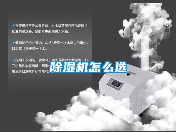 91抖音免费看片怎么选