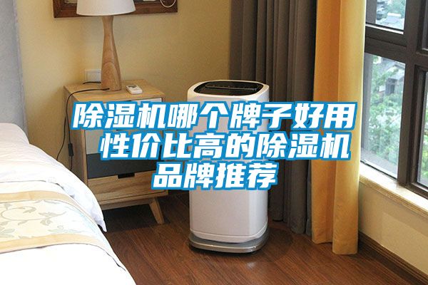 91抖音免费看片哪个牌子好用 性价比高的91抖音免费看片品牌推荐