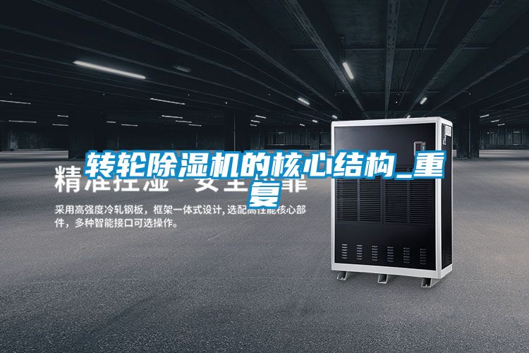转轮91抖音免费看片的核心结构_重复
