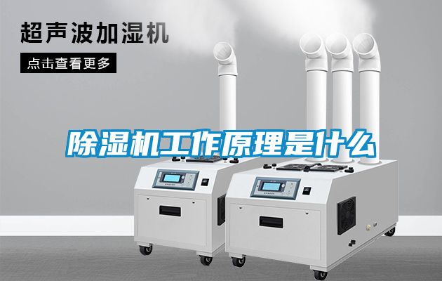 91抖音免费看片工作原理是什么