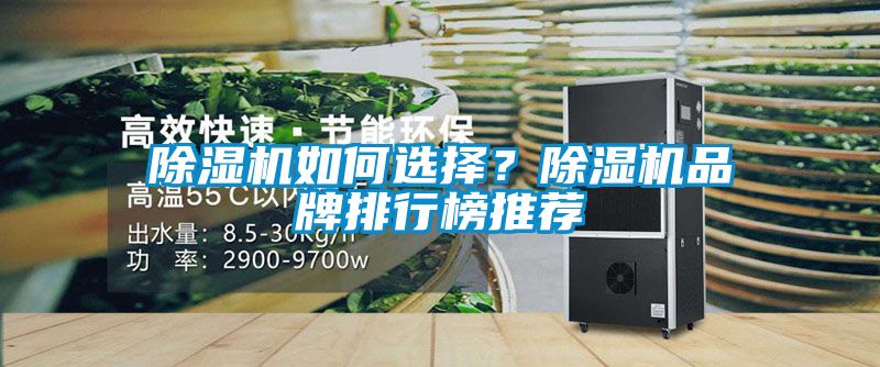 91抖音免费看片如何选择？91抖音免费看片品牌排行榜推荐