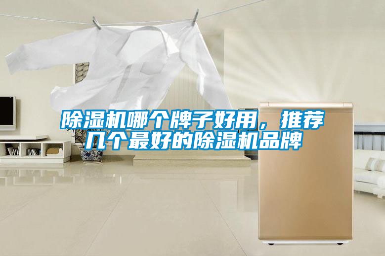 91抖音免费看片哪个牌子好用，推荐几个最好的91抖音免费看片品牌
