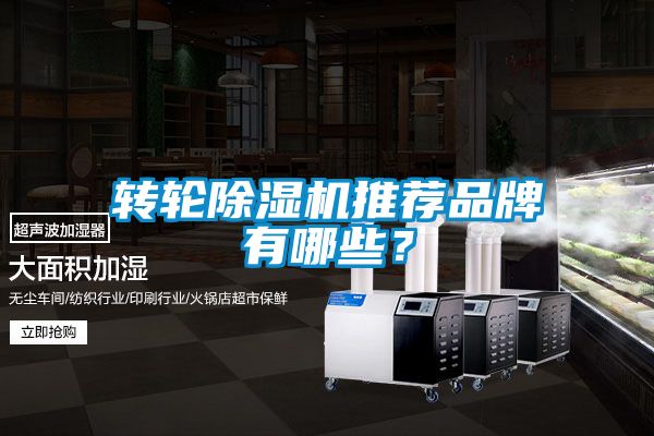 转轮91抖音免费看片推荐品牌有哪些？