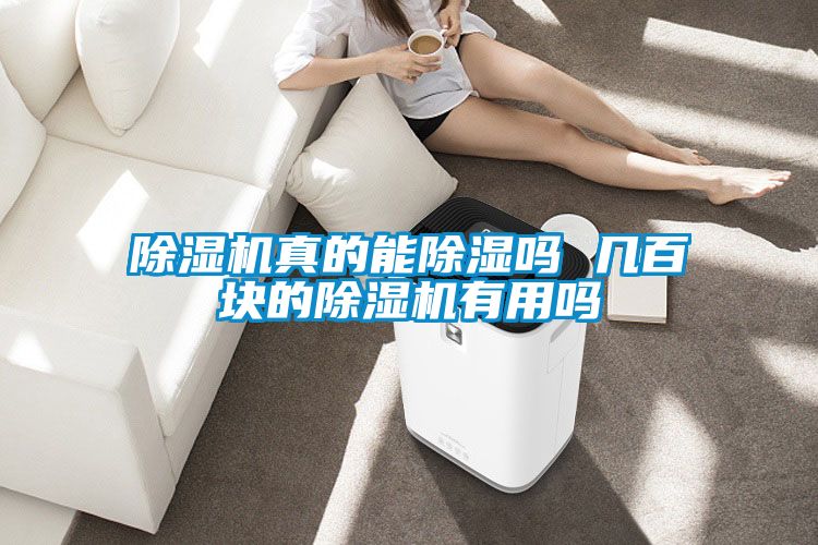 91抖音免费看片真的能除湿吗 几百块的91抖音免费看片有用吗