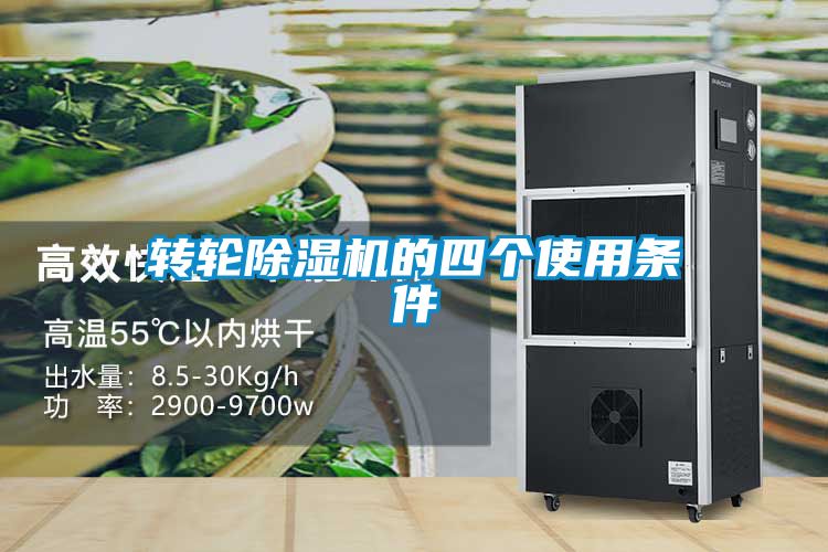 转轮91抖音免费看片的四个使用条件