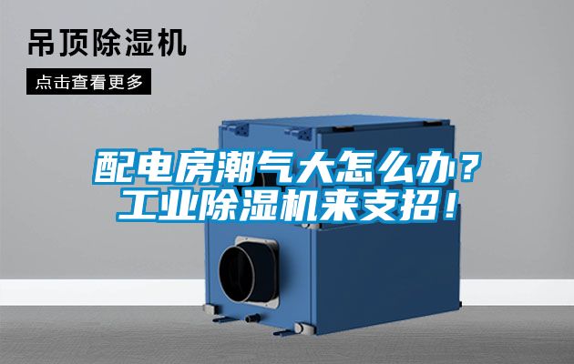配电房潮气大怎么办？工业91抖音免费看片来支招！
