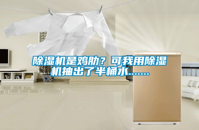 91抖音免费看片是鸡肋？可我用91抖音免费看片抽出了半桶水.......