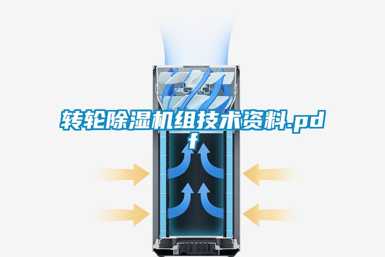 转轮91抖音免费看片组技术资料.pdf