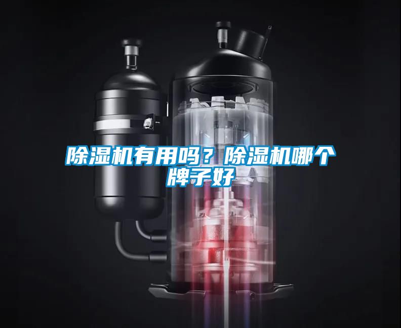 91抖音免费看片有用吗？91抖音免费看片哪个牌子好