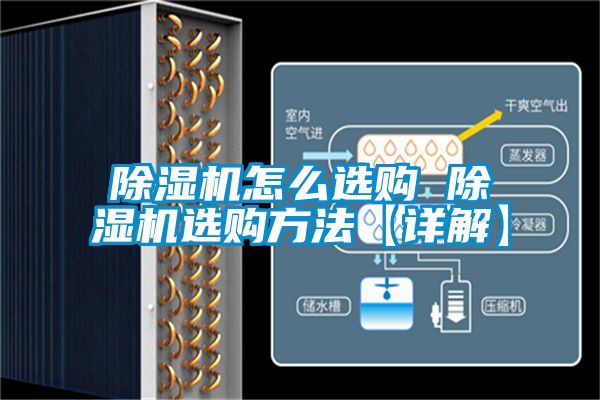 91抖音免费看片怎么选购 91抖音免费看片选购方法【详解】