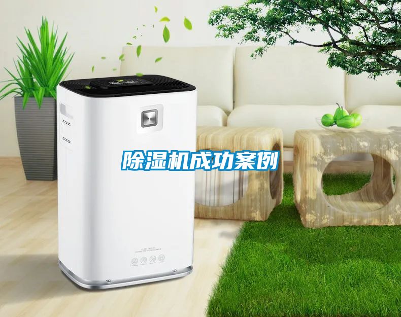 91抖音免费看片成功案例