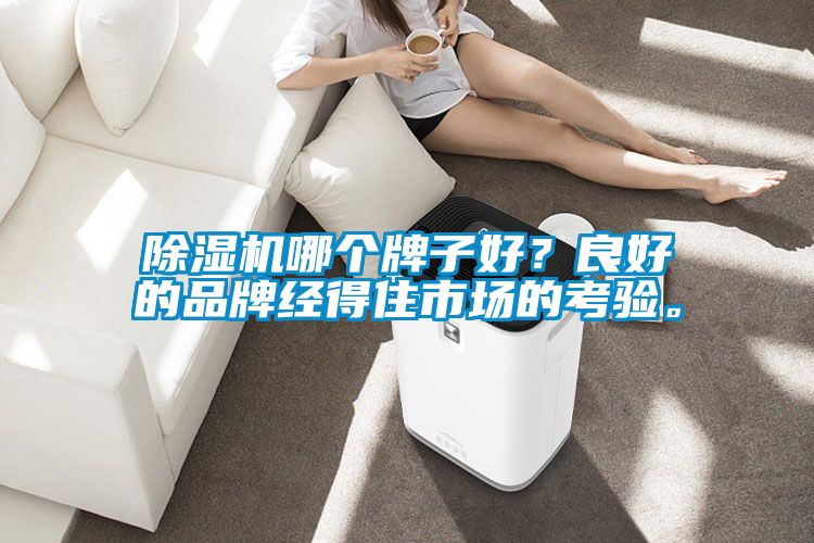 91抖音免费看片哪个牌子好？良好的品牌经得住市场的考验。