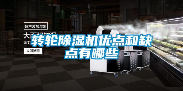 转轮91抖音免费看片优点和缺点有哪些