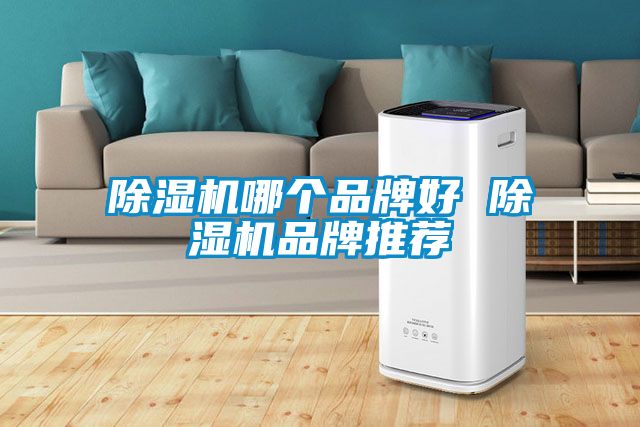 91抖音免费看片哪个品牌好 91抖音免费看片品牌推荐