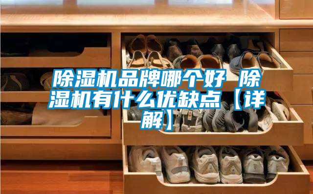 91抖音免费看片品牌哪个好 91抖音免费看片有什么优缺点【详解】
