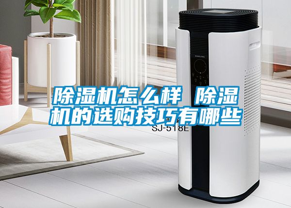 91抖音免费看片怎么样 91抖音免费看片的选购技巧有哪些