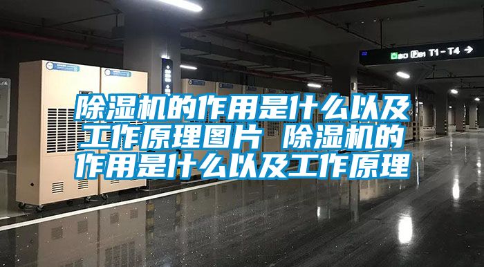 91抖音免费看片的作用是什么以及工作原理图片 91抖音免费看片的作用是什么以及工作原理