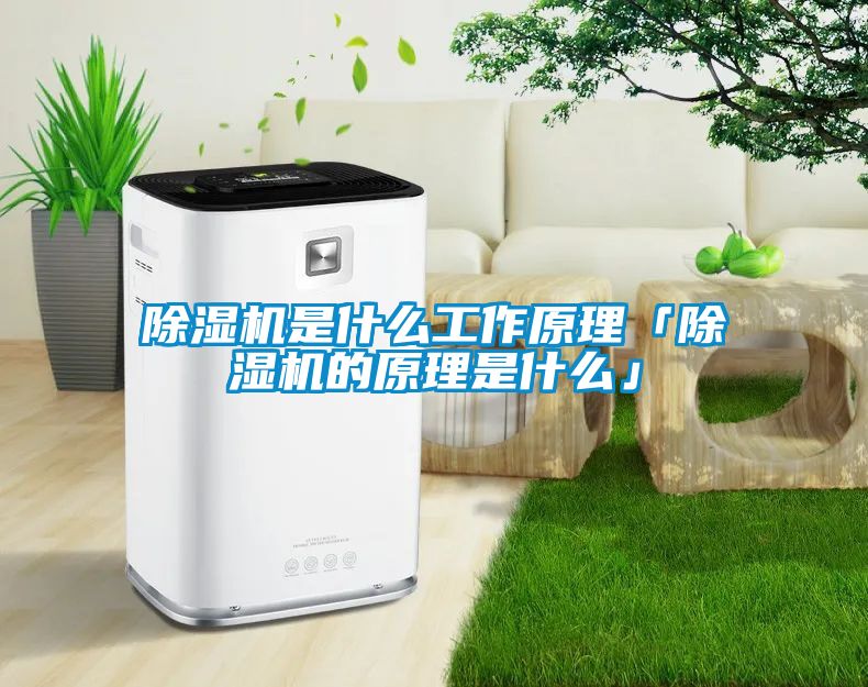 91抖音免费看片是什么工作原理「91抖音免费看片的原理是什么」