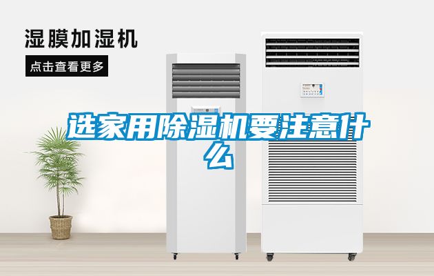 选家用91抖音免费看片要注意什么