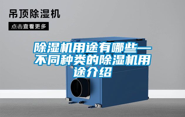 91抖音免费看片用途有哪些—不同种类的91抖音免费看片用途介绍