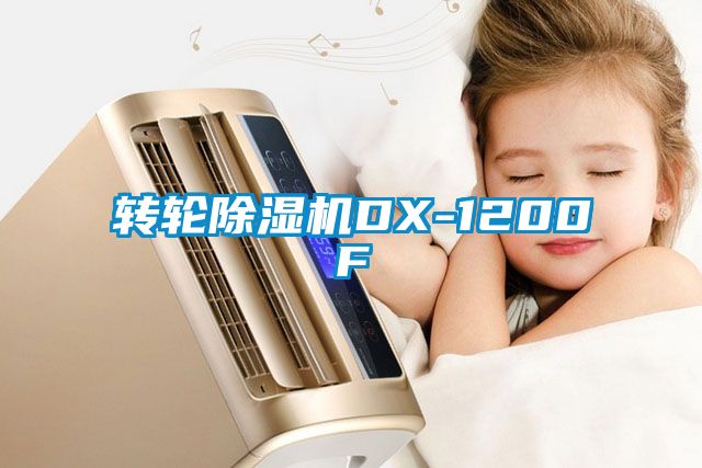 转轮91抖音免费看片DX-1200F