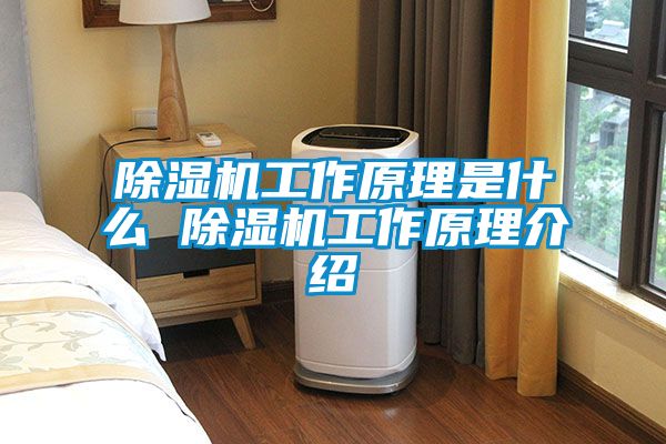 91抖音免费看片工作原理是什么 91抖音免费看片工作原理介绍