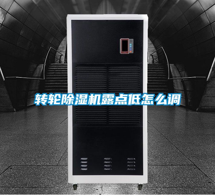 转轮91抖音免费看片露点低怎么调