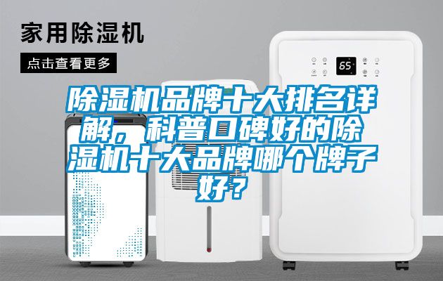91抖音免费看片品牌十大排名详解，科普口碑好的91抖音免费看片十大品牌哪个牌子好？