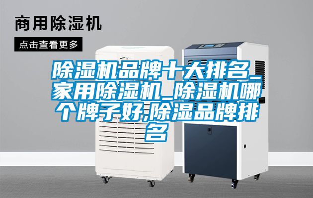 91抖音免费看片品牌十大排名_家用91抖音免费看片_91抖音免费看片哪个牌子好,除湿品牌排名
