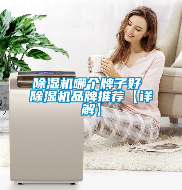 91抖音免费看片哪个牌子好 91抖音免费看片品牌推荐【详解】