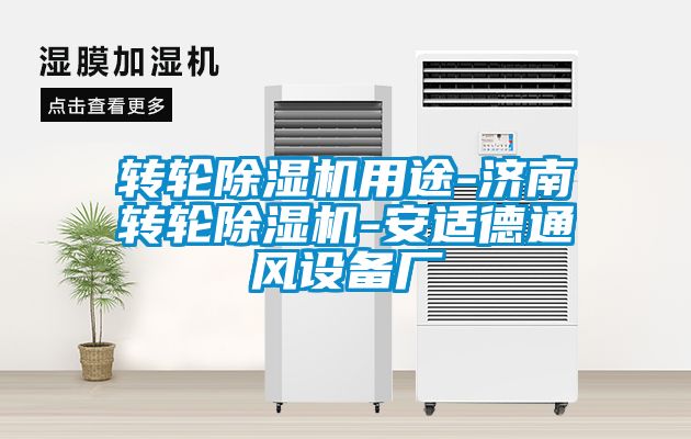 转轮91抖音免费看片用途-济南转轮91抖音免费看片-安适德通风设备厂
