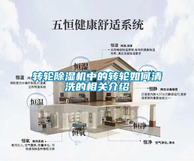 转轮91抖音免费看片中的转轮如何清洗的相关介绍