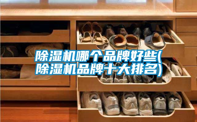 91抖音免费看片哪个品牌好些(91抖音免费看片品牌十大排名)
