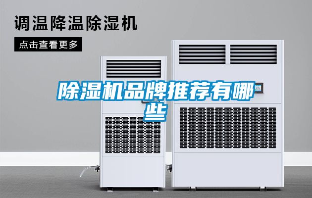 91抖音免费看片品牌推荐有哪些