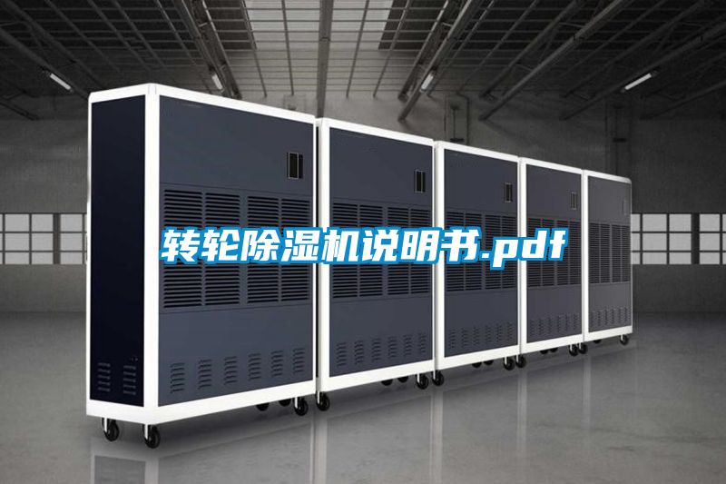 转轮91抖音免费看片说明书.pdf