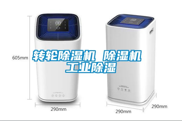 转轮91抖音免费看片 91抖音免费看片 工业除湿
