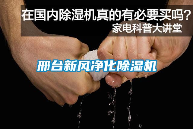 邢台新风净化91抖音免费看片