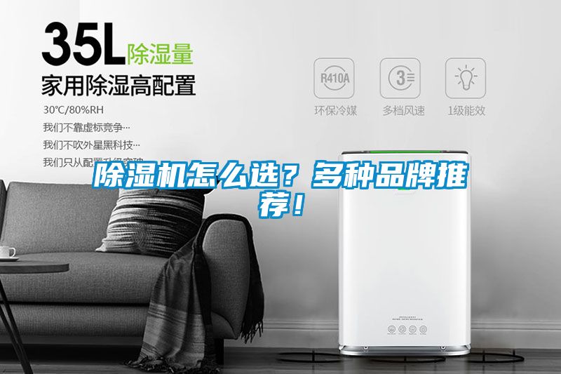 91抖音免费看片怎么选？多种品牌推荐！