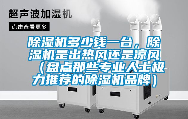 91抖音免费看片多少钱一台，91抖音免费看片是出热风还是凉风（盘点那些专业人士极力推荐的91抖音免费看片品牌）