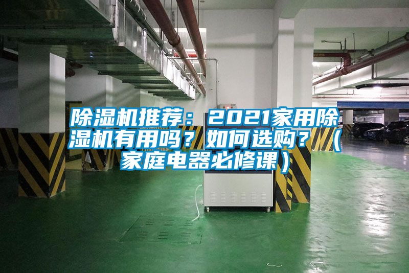 91抖音免费看片推荐：2021家用91抖音免费看片有用吗？如何选购？（家庭电器必修课）