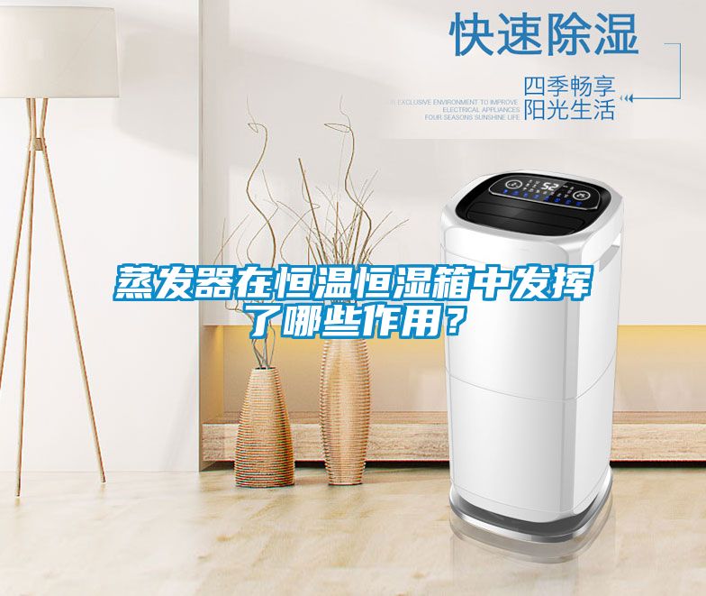 蒸发器在恒温恒湿箱中发挥了哪些作用？