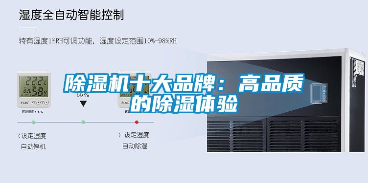 91抖音免费看片十大品牌：高品质的除湿体验