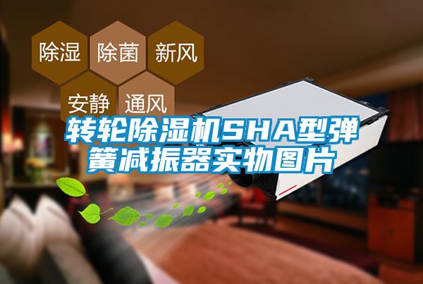 转轮91抖音免费看片SHA型弹簧减振器实物图片