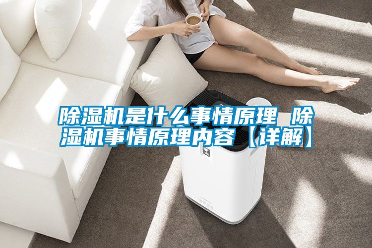 91抖音免费看片是什么事情原理 91抖音免费看片事情原理内容【详解】