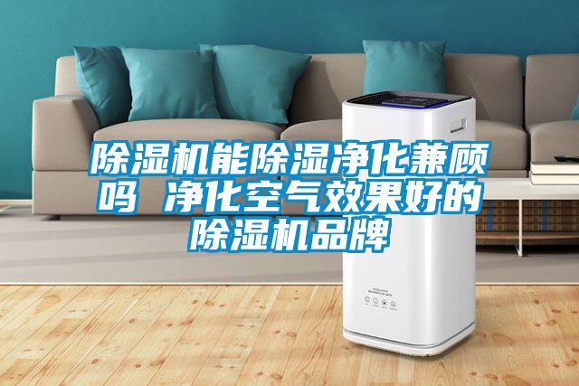 91抖音免费看片能除湿净化兼顾吗 净化空气效果好的91抖音免费看片品牌