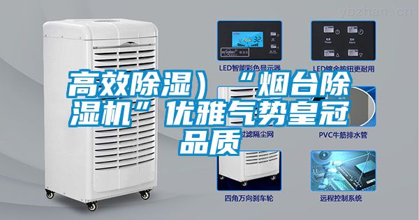 高效除湿）“烟台91抖音免费看片”优雅气势皇冠品质