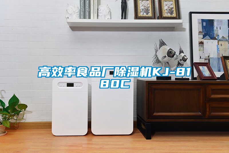 高效率食品厂91抖音免费看片KJ-8180C