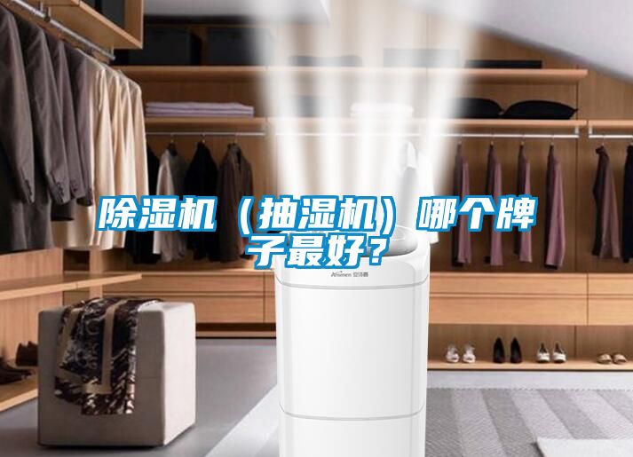 91抖音免费看片（抽湿机）哪个牌子最好？